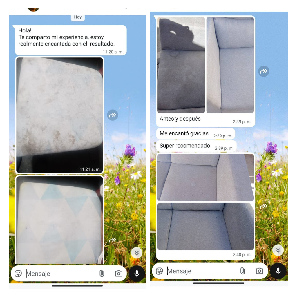 Mega Pulcro - Limpiador De Telas Y Tapicería Quita Manchas