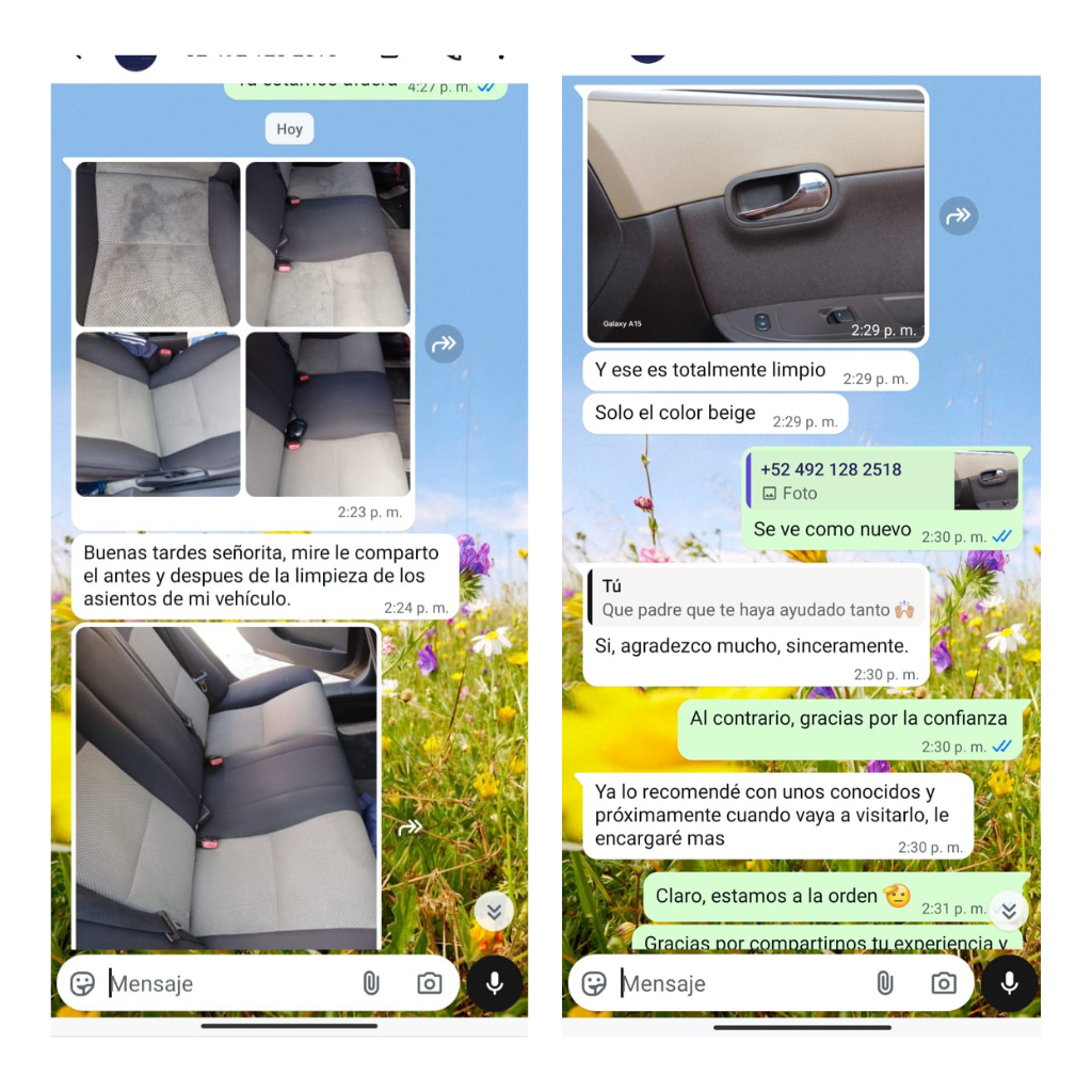 Mega Pulcro - Limpiador De Telas Y Tapicería Quita Manchas