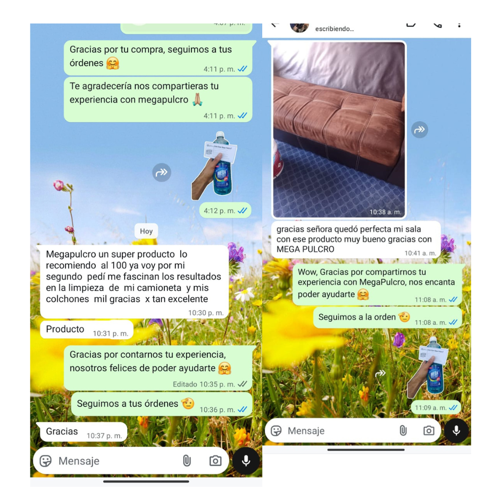 Mega Pulcro - Limpiador De Telas Y Tapicería Quita Manchas